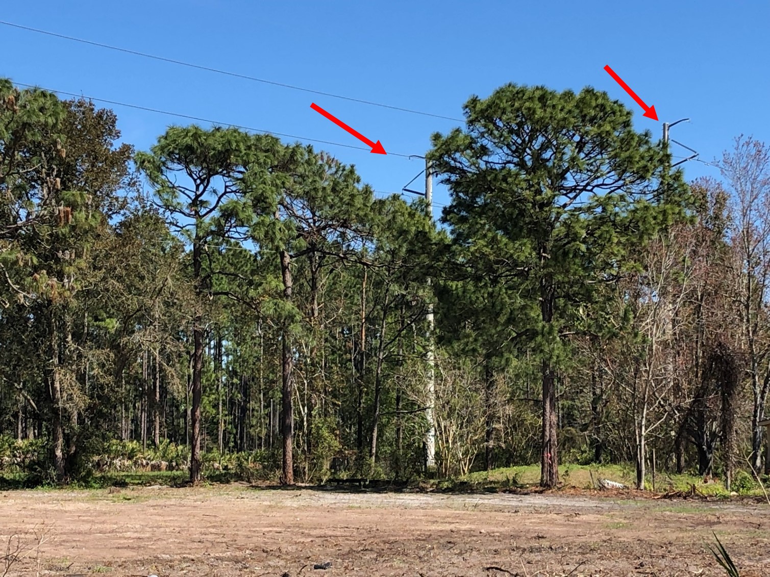 View of transmission poles near Patton Park